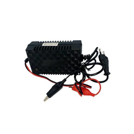 12V 2A Intelligent Pulse Chargers