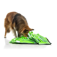 Load image into Gallery viewer, Cosmic Pets Pet Snuffle Mat Green/White (40 x 40cm)
