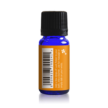 Load image into Gallery viewer, Pure Afro Essential Oil Potion Pack - Love, Luck, Abundance &amp; Protection
