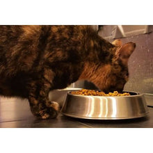 Load image into Gallery viewer, Anti Ant Food or Water Bowl (Stainless Steel) (250ml/1 cup)
