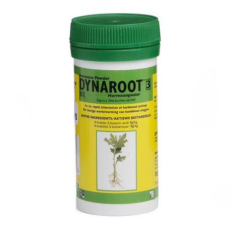 Dynaroot 3 - Rooting Hormone Powder - Herb and Plant Food Propagation - 30g Buy Online in Zimbabwe thedailysale.shop