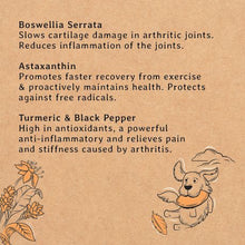 Load image into Gallery viewer, Gizzls Botanicals Healthy Dog Treats for Joint &amp; Mobility
