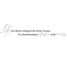 Load image into Gallery viewer, Fantastick - Dance In The Rain Vinyl Wall Poetry
