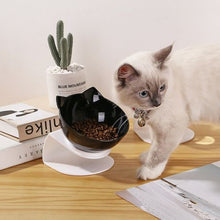 Load image into Gallery viewer, Pet Bowl - Double 15 °Tilt Design
