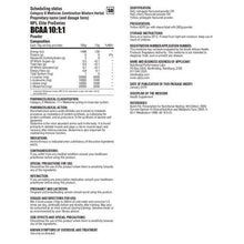 Load image into Gallery viewer, BCAA 10:1:1 300g Citrus
