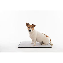 Load image into Gallery viewer, Mpet Scilly Dog Mat - Grey (Size: S)
