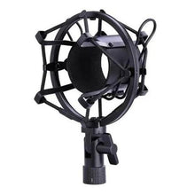 Load image into Gallery viewer, Andowl Microphone Condenser
