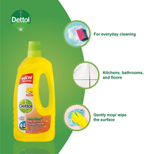 Load image into Gallery viewer, Dettol Hygiene All Purpose Cleaner - Disinfectant - Citrus - 750ml
