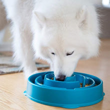 Load image into Gallery viewer, Healthy Pet Slow Fun Feeder Dog Bowl - Turquoise
