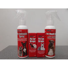 Load image into Gallery viewer, Nanotech Antiseptic Spray
