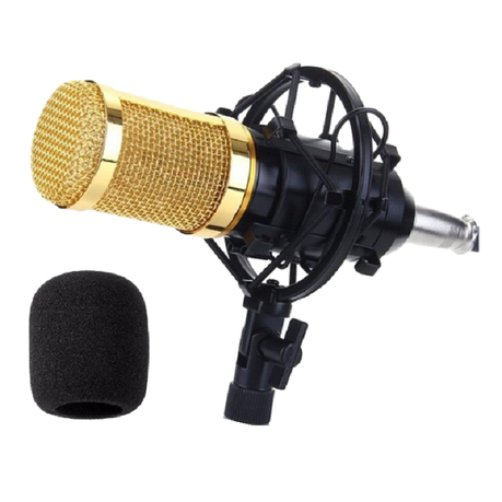 Professional Condenser Studio Microphone ST-225 Buy Online in Zimbabwe thedailysale.shop