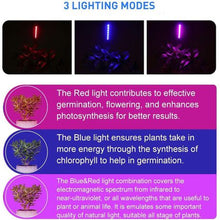 Load image into Gallery viewer, 10W Table Top LED Plant Growth Light HT-DTL10W
