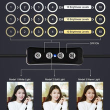Load image into Gallery viewer, 10 Ring Light with 2m Tripod
