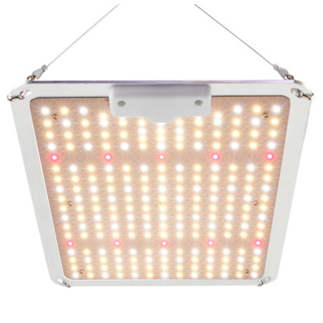 110W Dimmable Quantum Board LED Grow Light Buy Online in Zimbabwe thedailysale.shop