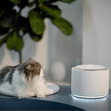 Load image into Gallery viewer, furrytail Pet Drinking Fountain
