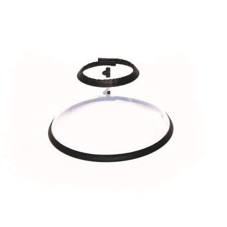 M-Pets Protective Dog Collar - XL Buy Online in Zimbabwe thedailysale.shop