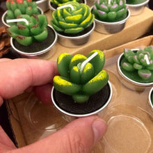 Load image into Gallery viewer, Candle Succulent Plants Cactus set of 12 Cool
