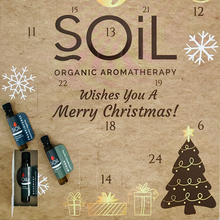 Load image into Gallery viewer, Christmas Advent Calendar
