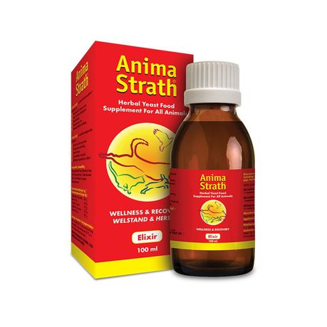 Anima Strath 100ml elixir Wellness & Recovery Buy Online in Zimbabwe thedailysale.shop