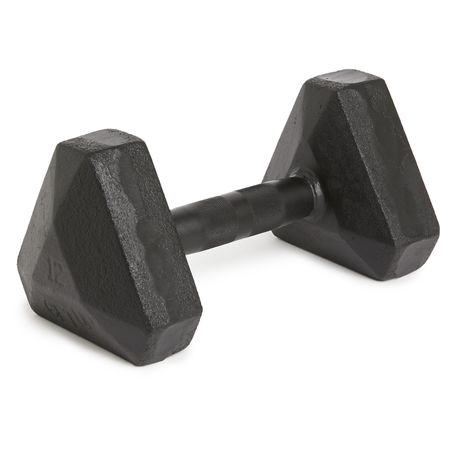 GetUp Dumbbell 12kg Buy Online in Zimbabwe thedailysale.shop