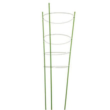 Load image into Gallery viewer, PH Garden - Metal Flower Support 4 Rings 120cm
