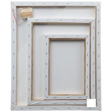 Load image into Gallery viewer, 3 Pack Art Canvas - (M)
