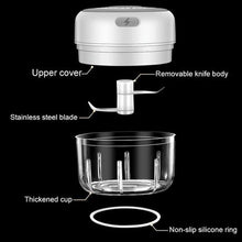 Load image into Gallery viewer, Maisonware 250ml Mini Electric Food Processor

