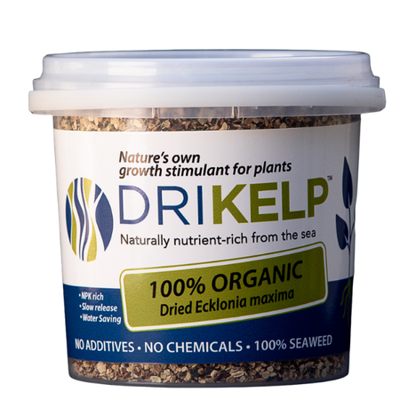 Drikelp Dried Kelp 1kg Buy Online in Zimbabwe thedailysale.shop
