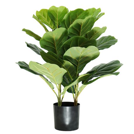 HouzeComfort Artificial Ficus Iyrata Indoor and Outdoor Pot Plant Buy Online in Zimbabwe thedailysale.shop