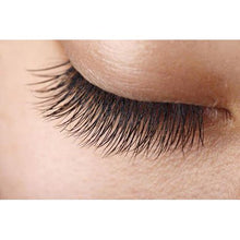 Load image into Gallery viewer, Kiss Beauty Collagen Mascara Eyelash Growth Nutrition Gel - 14ml x 6
