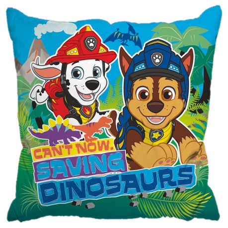 Paw Patrol Boys Scatter Cushion Buy Online in Zimbabwe thedailysale.shop