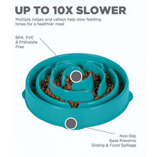 Load image into Gallery viewer, Healthy Pet Slow Fun Feeder Dog Bowl - Turquoise
