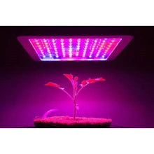 Load image into Gallery viewer, 1000 LED Full Spectrum Indoor Grow Medicinal Veg &amp; Flower Light
