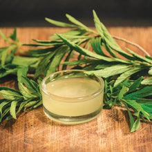 Load image into Gallery viewer, Vondi's Khakibos Flea Shampoo - 250ml
