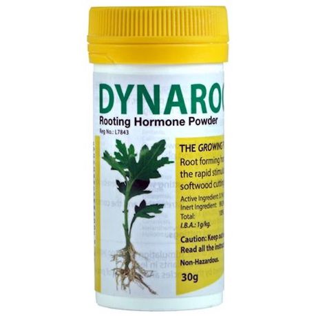 Dynaroot 1 - Rooting Hormone Powder - 30g Buy Online in Zimbabwe thedailysale.shop