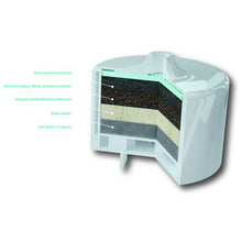 Load image into Gallery viewer, Replacement Filter - Pet Water Fountain (Pack of 2)
