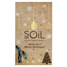 Load image into Gallery viewer, Christmas Advent Calendar
