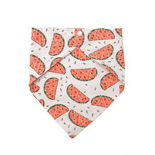 Load image into Gallery viewer, Watermelon Tie Bib
