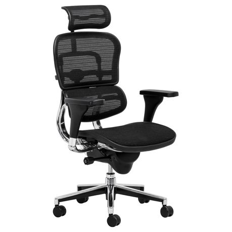 Original ErgoHuman Ergonomic Office Chair Buy Online in Zimbabwe thedailysale.shop