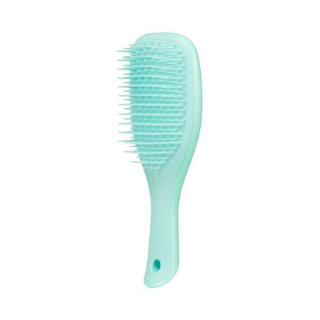 Tangle Teezer - Mini Wet Detangler - Mint/Mint Buy Online in Zimbabwe thedailysale.shop