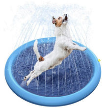 Load image into Gallery viewer, Pet Splash mat/Pad
