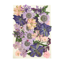 Load image into Gallery viewer, Dried _ Pressed Flowers - Purple &amp; Pink Small
