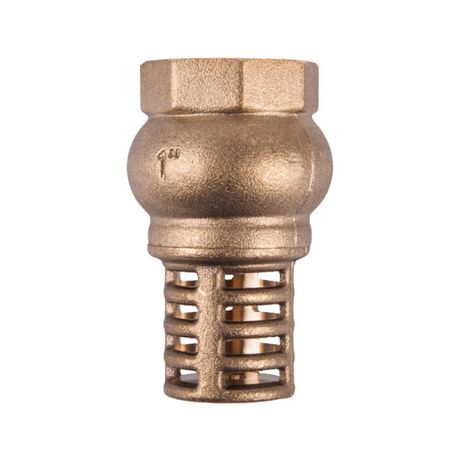 Torrenti Valve Foot Brass 40Mm Buy Online in Zimbabwe thedailysale.shop