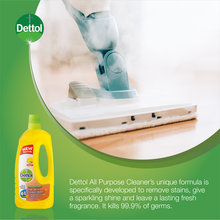 Load image into Gallery viewer, Dettol Hygiene All Purpose Cleaner - Disinfectant - Citrus - 750ml
