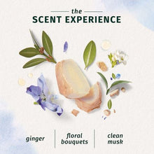 Load image into Gallery viewer, Herbal Essences - Conditioner - Revitalise - 400ml
