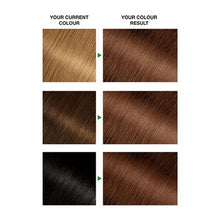 Load image into Gallery viewer, Garnier Nutrisse 6.23 Rose Gold Brown

