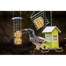 Load image into Gallery viewer, Westermans Suet Bird Feeder
