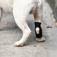 Load image into Gallery viewer, Portable Pet Leg Injury Anti-Infection Fixed Auxiliary Recovery Strap - L
