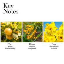 Load image into Gallery viewer, Elizabeth Arden Sunflowers Sunrise Eau de Toilette Spray 100ml For Her
