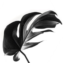 Load image into Gallery viewer, Birch Block 4 pce collage Leafy B&amp;W
